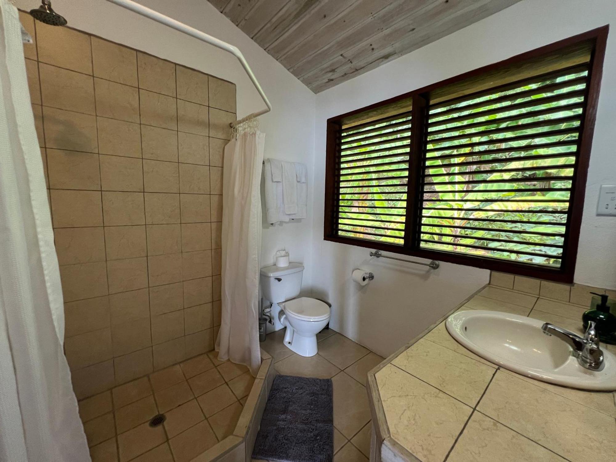 Authentic St, Lucian Experience At Prestigious 2-Bed Villa - Colibri Cottage Villa Soufrière エクステリア 写真